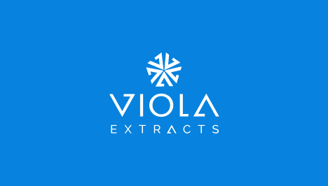 Group 136@2x viola