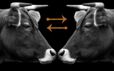 Why Brand Consistency is Key to Long-Term Success