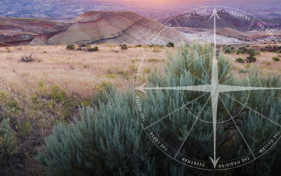 Understanding Brand Archetypes and Their Impact on Identity