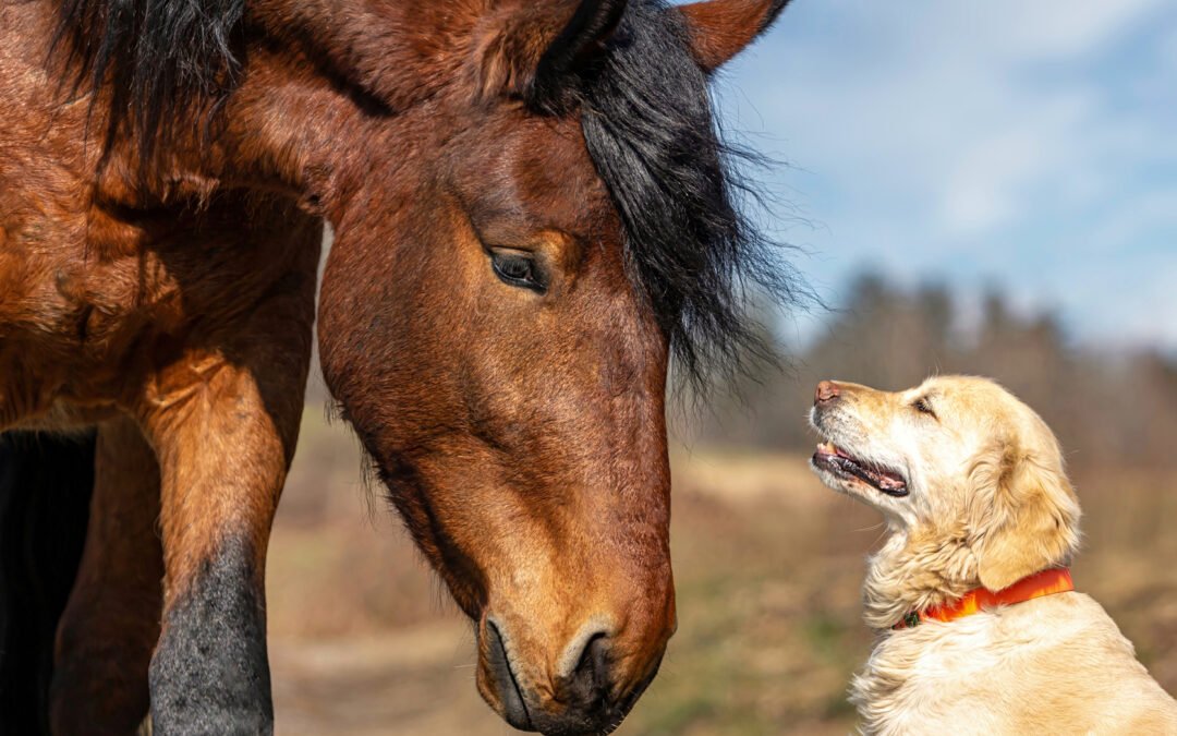 Why Brand Values Matter More Than Ever in Customer Retention