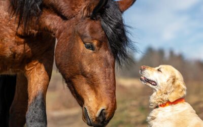 Why Brand Values Matter More Than Ever in Customer Retention