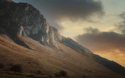 Why Branding and Storytelling Go Hand-in-Hand for Business Success