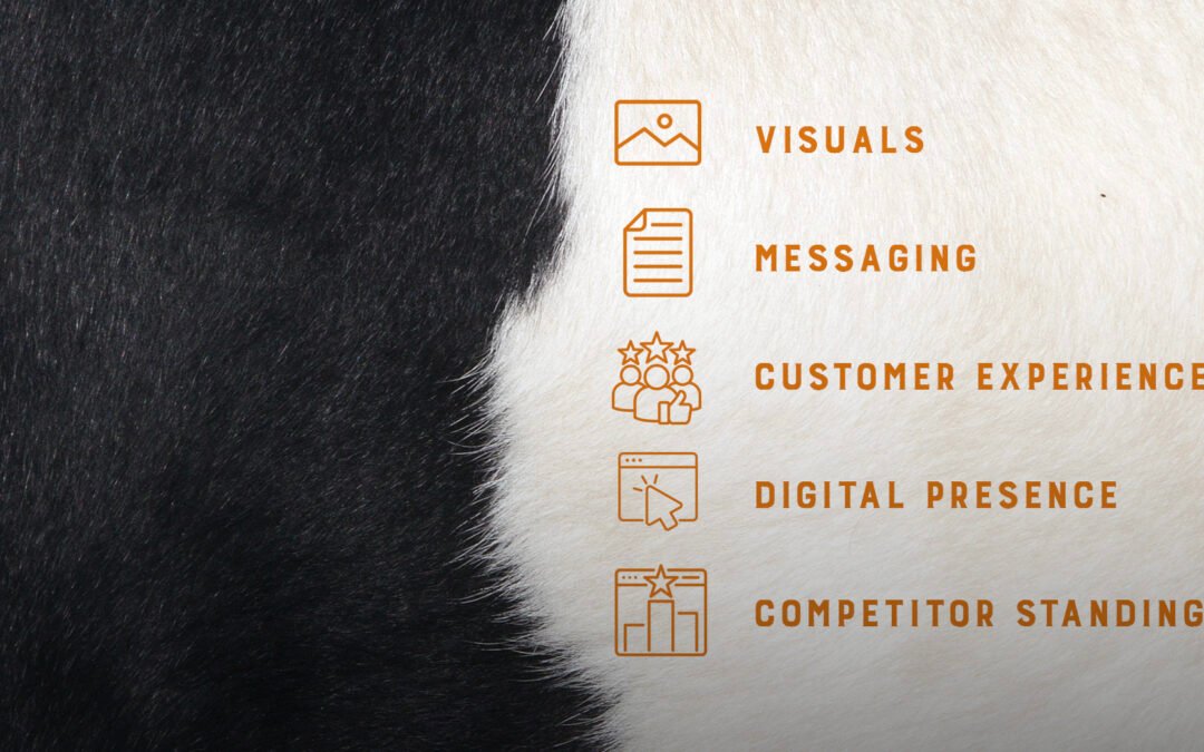 What a Brand Audit Can Reveal About Your Market Position