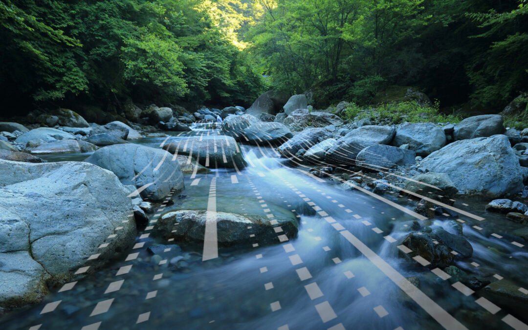Merging Creativity and Data: A New Era of Brand Building
