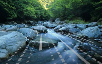 Merging Creativity and Data: A New Era of Brand Building