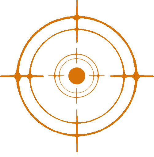 Bullseye target flow@1x-25fps Bullseye target flow@1x-25fps