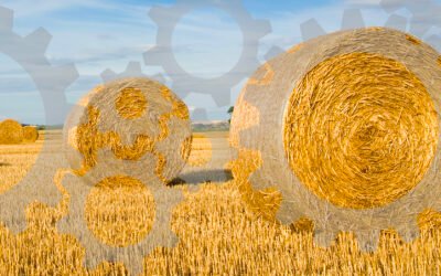 Boost Your Brand’s Reach with Integrated Marketing Campaigns